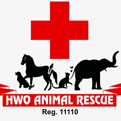 HWO Rescue Injured Animals.We are trying to improve lives of abandoned, injured & captive animals in Islamabad, Pakistan. #FreeKaavan #SaveStrays #ShutdownZoos