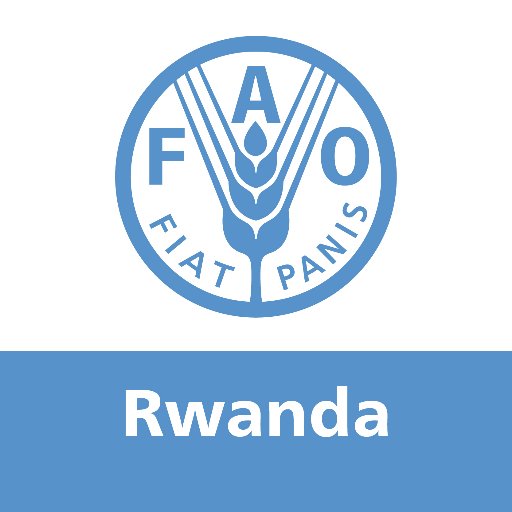 News and latest informations United Nations Food and Agriculture Organization (@FAO) in Rwanda | Follow @FAODG and Representative @CoumbaDSow