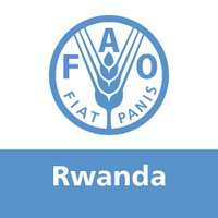 FAO in Rwanda (@faorwanda) 's Twitter Profile Photo FAO in Rwanda (@faorwanda) 's Twitter Profile Photo