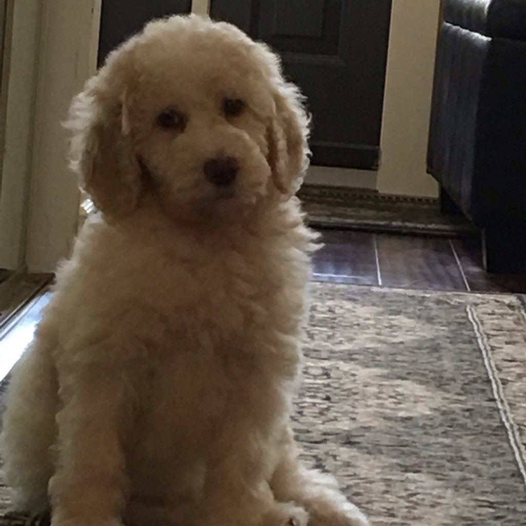 RKRowley's profile picture. Retired HS Principal-HABS Fan-Sports Nut⛳️