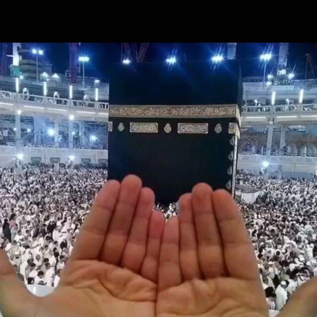 aliazmi67's profile picture. 