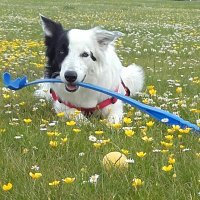 😘claredale😘 (@claredale12) 's Twitter Profile Photo 😘claredale😘 (@claredale12) 's Twitter Profile Photo
