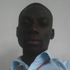 dogniyao's profile picture. 