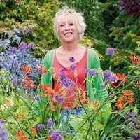 Carol Klein(@CarolKlein) 's Twitter Profileg