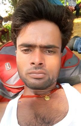 e74fd6de1c114ed's profile picture. 