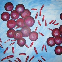 (micro)Biologie (@bacterien) 's Twitter Profile