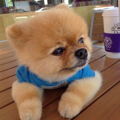 oranjae_jh's profile picture. 