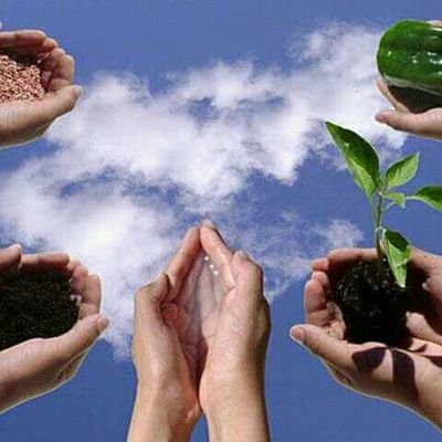 Arif_7636's profile picture. agriculture