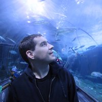 Devin (@devinnash) 's Twitter Profile