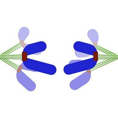 Structural cell biology @ Dept. of Biological Sciences & CBIS, National University of Singapore
@MitosisLab@mstdn.science/@mitosislab.bsky.social