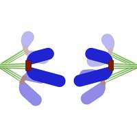 Mitosis Lab(@MitosisLab) 's Twitter Profile Photo