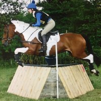 Footluce Eventing (@loosefootluce) 's Twitter Profile