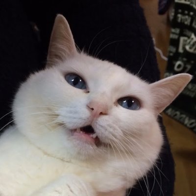 ティー
