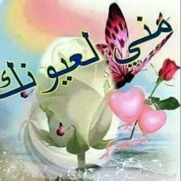 sass19841984's profile picture. هاذحسابي علا الكيك 2fsra