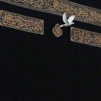 يارب تحفظ هالبلد #السعودية 💓💓 #نيوم #Neom الشغف&الحلم القريب