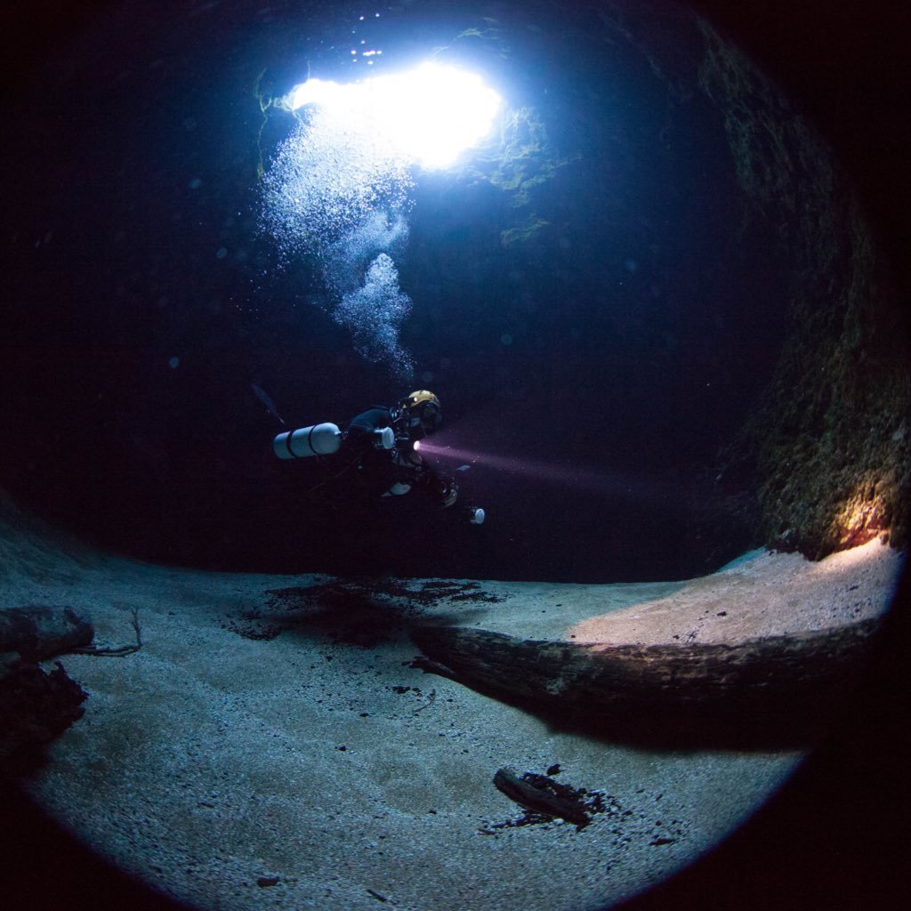 Underwater photographer | NAUI Instructor | TDI Technical Cave Diver | Images © Underwater Storey LLC. #UnderwaterPhotography #Scuba #Diving