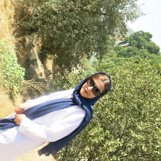 کارشناسی ارشد علوم ارتباطات اجتماعی، علاقه مند به مسائل سیاسی و منطقهای، خبرنگار سیاست خارجی ایسنا