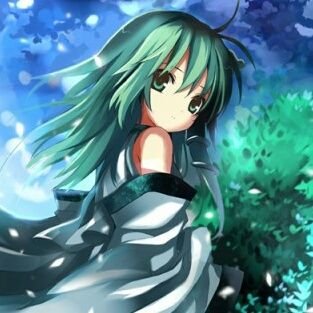 Touhou_Sanae_kr's profile picture. 언제나 포교뿐인 한 무녀.