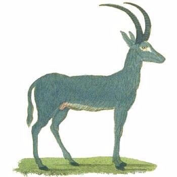 full_tri9's profile picture. オフロードバイク愛好家　スローウィリー求道中