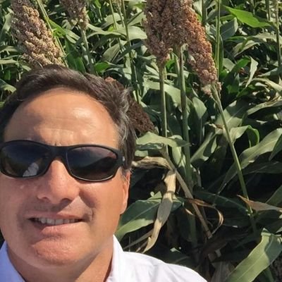 patobroglia's profile picture. 
