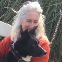 Dordie Ketley (@dordiek) 's Twitter Profile