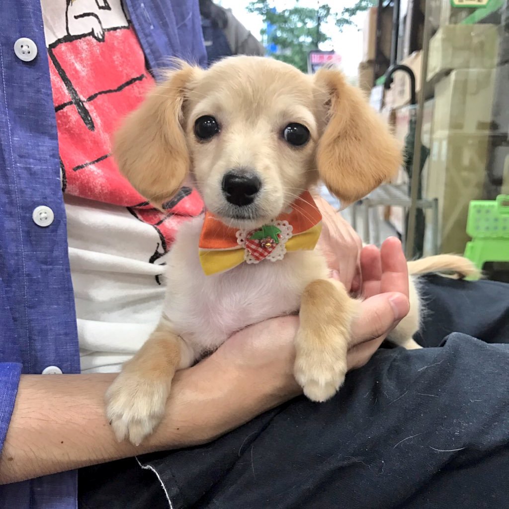 suzupon1996's profile picture. 