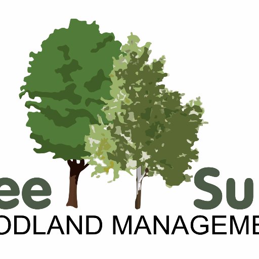 TreeSurv Woodland Management.
Specialists in native woodland restoration.