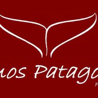 Somos Patagonia (@somospatagonia) 's Twitter Profile