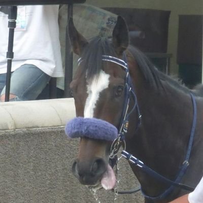 競馬好きのおじさんです。
たまに写真載せてます。
馬券は下手くそです。
あとうさぎのみーちゃんの写真も載せております!
一口馬主はじめました。
インゼル シュニー アヴァンフライト
/DMM モルトヴェローチェ ラオラシオン
レイデアンジェロ ヴァロアーク
https://t.co/OOYXxrsneZ
