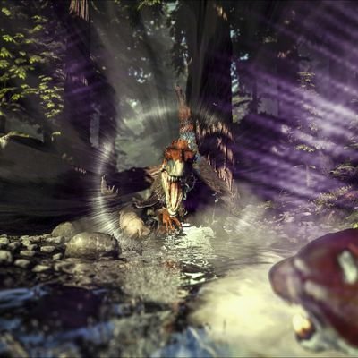 Nathntaylr's profile picture. 