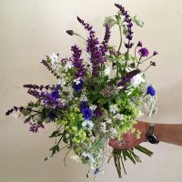 Frogwell Flowers(@frogwellflowers) 's Twitter Profile Photo