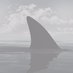 SharkFinTech (@sharkfintech) Twitter profile photo SharkFinTech (@sharkfintech) Twitter profile photo