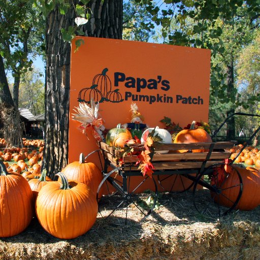 One of the country's best pumpkin patches!
2019 Season: Sept. 8 - Oct. 19
Open daily 12-7 pm