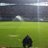 chiki_ridao's profile image