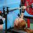 @RAFPowerlifting