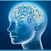 Neurocirugia-Neurología; Medicina Física y Rehabilitación; Neurofisiologia; Epidemiología Clínica.