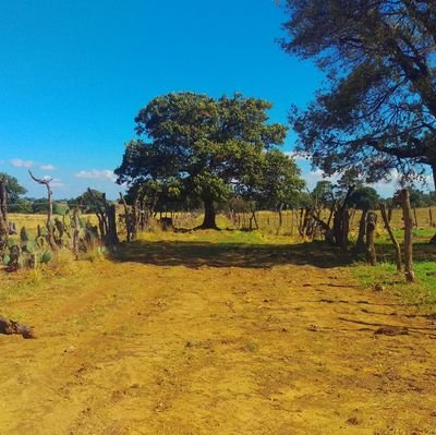 enerlurias's profile picture. 