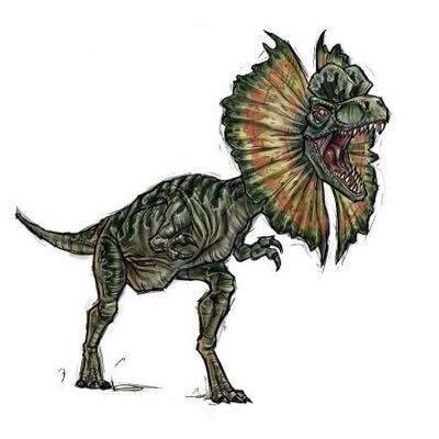 dilposaurs's profile picture. I'm creepy the dilpousaus I lived at Jurassic world for lot years don't make me mad I am a male