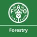 FAO Forestry (@FAOForestry) Twitter profile photo