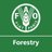 FAO Forestry's Twitter avatar