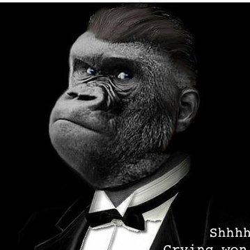 SierraWhiskey74's profile picture. Living life. Doing my best.