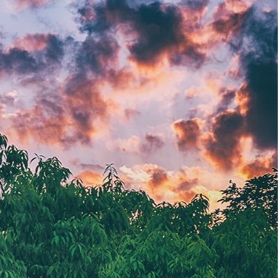 7isooni's profile picture. 