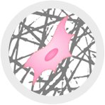 Matrix & Metastasis Lab(@TCox_Lab) 's Twitter Profile Photo