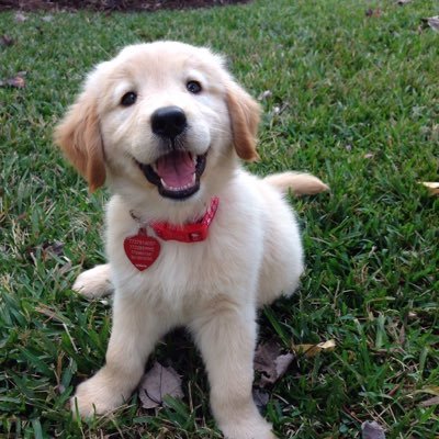 bm5NMmtPDcYFgUG's profile picture. 