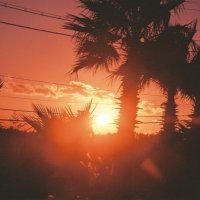 Mogwaa (@mogwaa) 's Twitter Profile