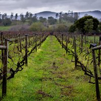 The Roaming Wino (@roamingwino_aus) 's Twitter Profile Photo The Roaming Wino (@roamingwino_aus) 's Twitter Profile Photo
