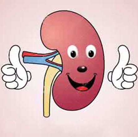 I am a kidney doctor ，If you have kidney problems, please contact me.