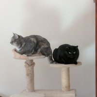 Hatewaster (@hatewaster) 's Twitter Profile