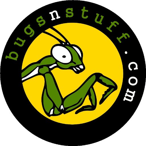 bugsnstuffcom Profile Picture