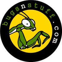 bugsnstuff.com(@bugsnstuffcom) 's Twitter Profile Photo